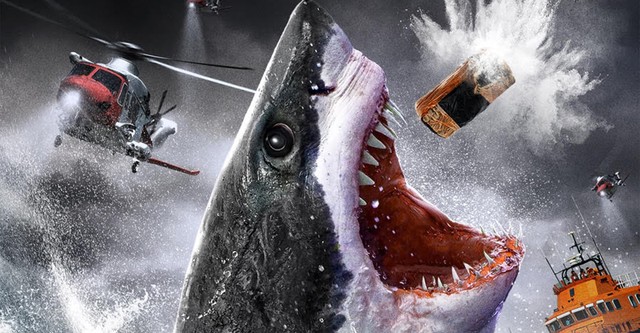 Shark store watch online